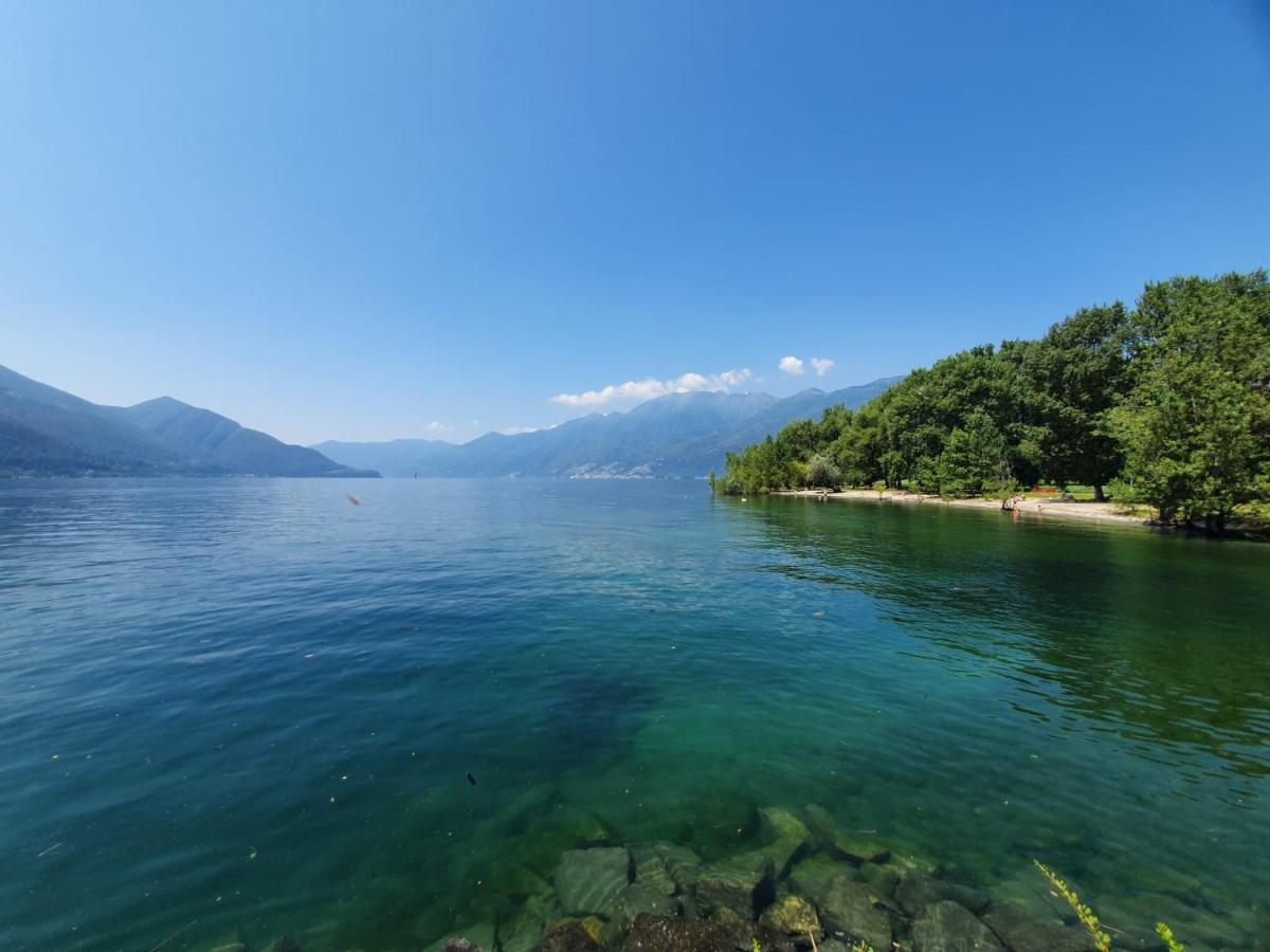 La Pergola Daire Avegno Dış mekan fotoğraf